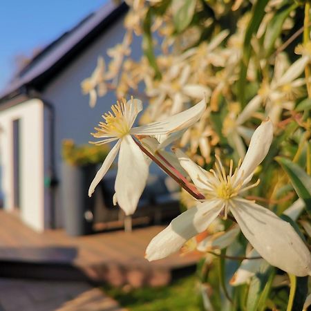 Hastings Casita, 'Little House' Self Contained Garden Lodge, Close To Town And Seafront Zewnętrze zdjęcie
