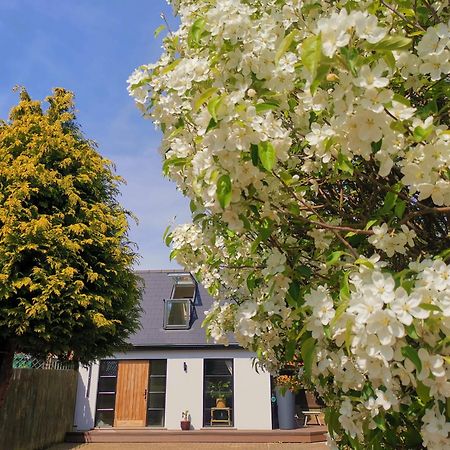 Hastings Casita, 'Little House' Self Contained Garden Lodge, Close To Town And Seafront Zewnętrze zdjęcie