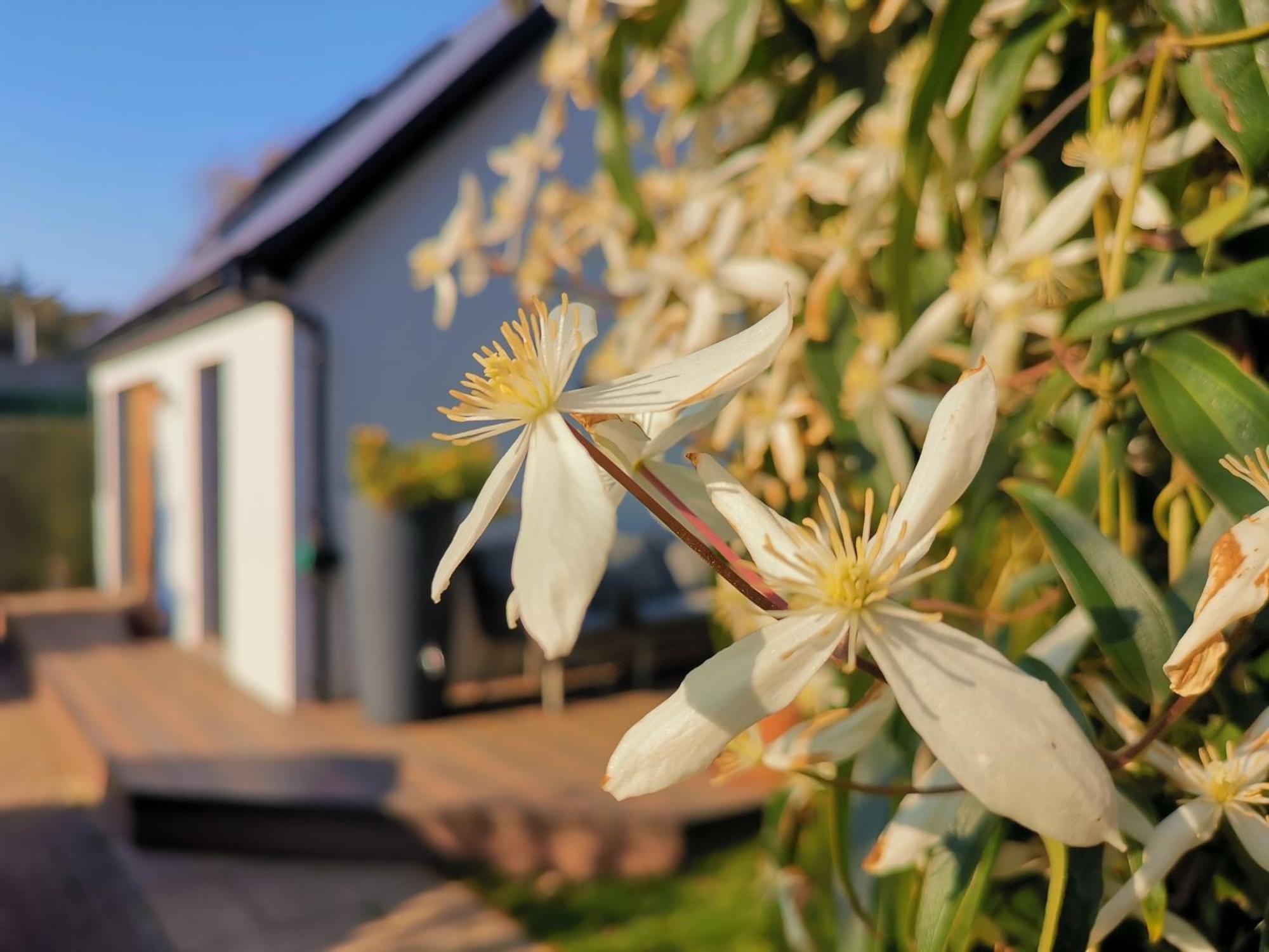 Hastings Casita, 'Little House' Self Contained Garden Lodge, Close To Town And Seafront Zewnętrze zdjęcie